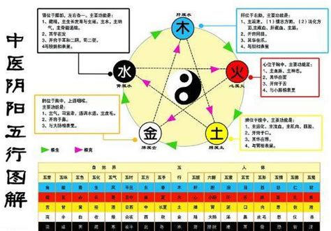 金 生 水|五行之中金生水，坚硬的金属，怎么能生水呢？